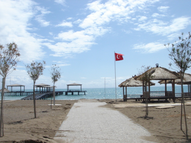 f0132327_22332018.jpg