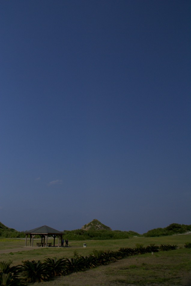 d0053930_55451.jpg
