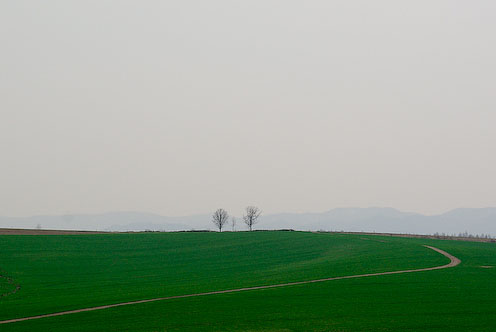 e0025030_1865620.jpg