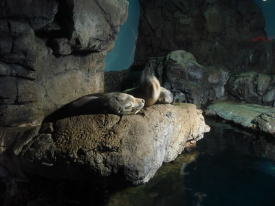 b0003235_12564435.jpg