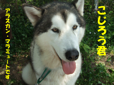 f0008935_21372120.gif
