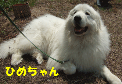 f0008935_2137554.gif