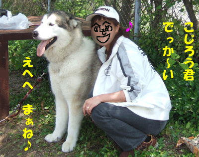 f0008935_21385772.gif