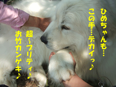 f0008935_21401847.gif
