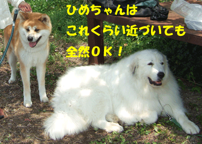 f0008935_21413269.gif