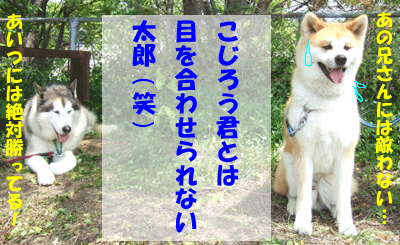 f0008935_2143859.gif