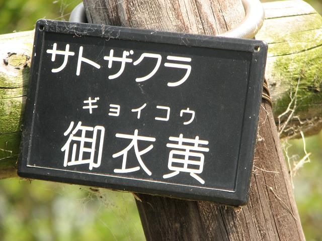 f0099535_20245583.jpg