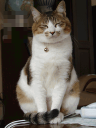 c0136736_9311660.gif