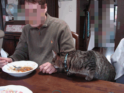 c0136736_9392050.gif