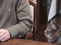 c0136736_9403058.gif