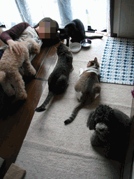 c0136736_9451964.gif