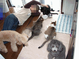 c0136736_9481772.gif