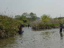 d0129745_1951848.jpg