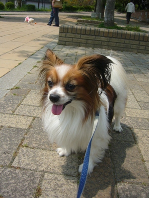 e0100046_17262454.jpg