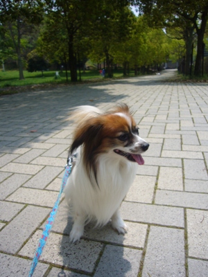 e0100046_17264012.jpg