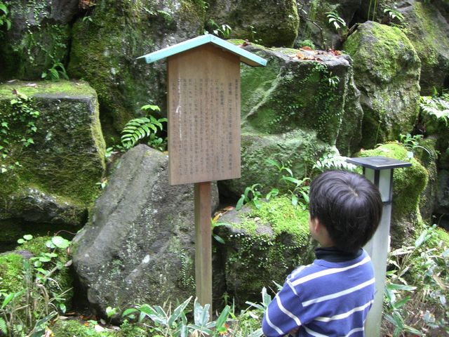 e0105846_2293985.jpg