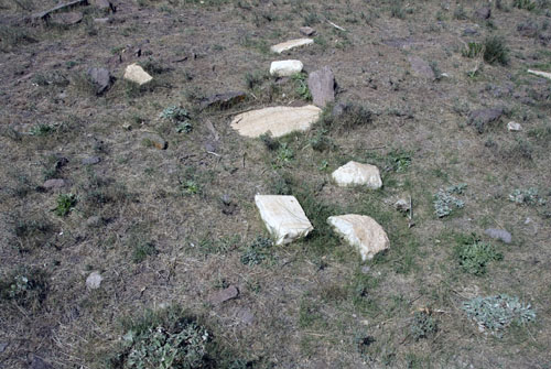 b0006449_11175534.jpg