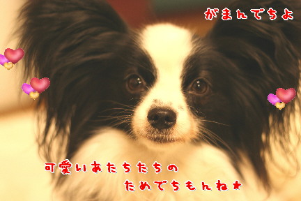d0013149_883577.jpg