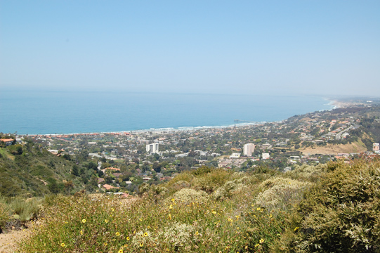 d0114149_8141750.jpg
