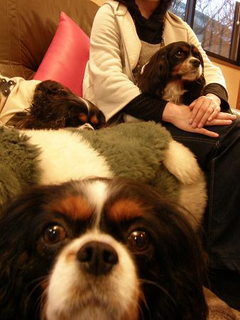 c0145250_14185192.jpg