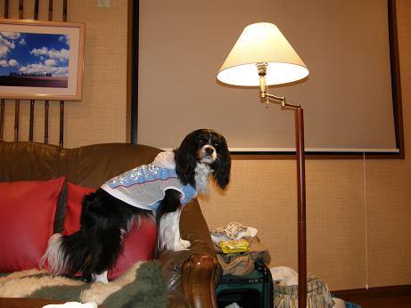 c0145250_14353828.jpg
