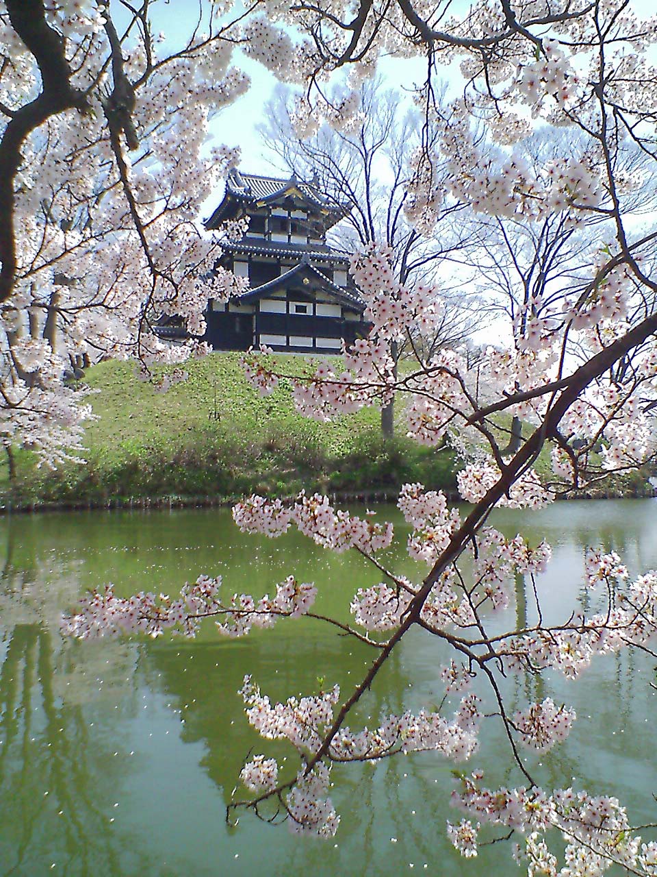 b0050151_1442756.jpg