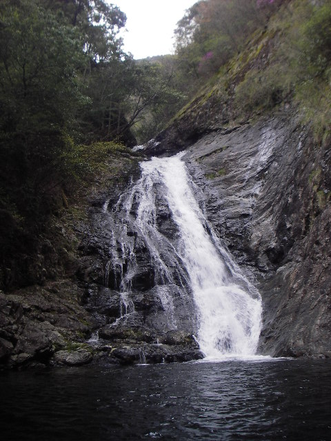 a0079652_19511950.jpg