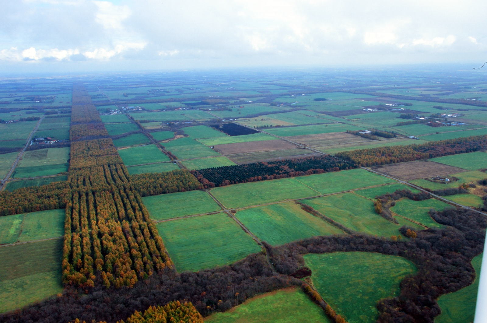f0001254_181364.jpg