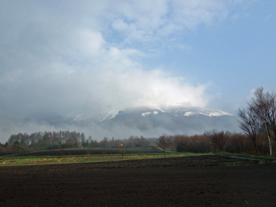 b0045357_15152217.jpg