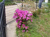 f0062462_9411428.jpg