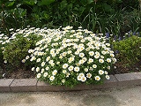 f0062462_9413237.jpg