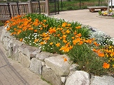 f0062462_9415697.jpg