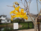 f0062462_9421139.jpg
