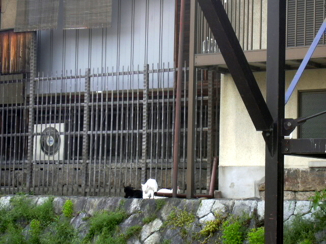 d0148063_120735.jpg