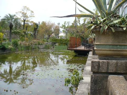 a0063364_1759069.jpg