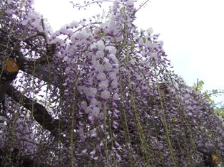 e0130465_13355841.jpg