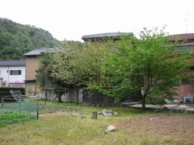 d0094868_12255125.jpg