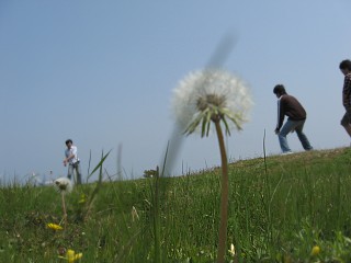 c0077672_23254550.jpg