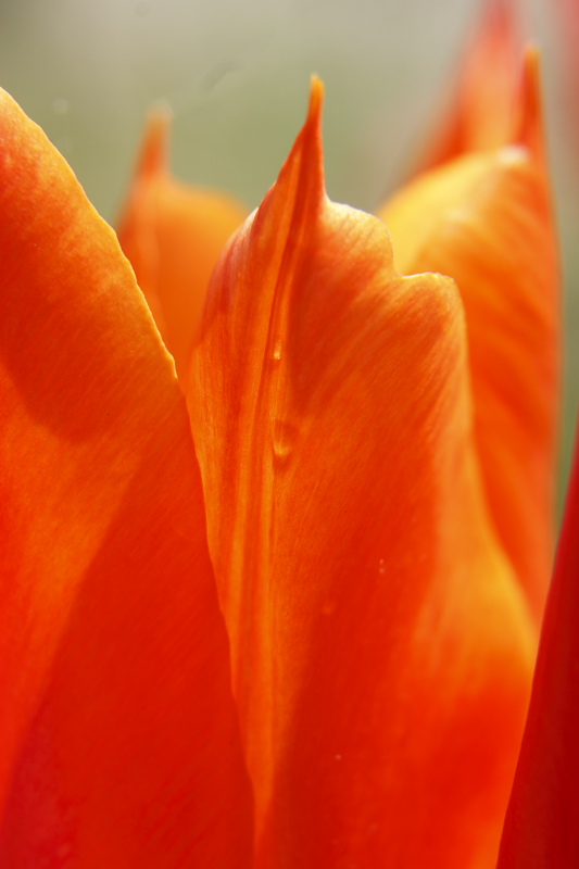 b0083779_22131473.jpg