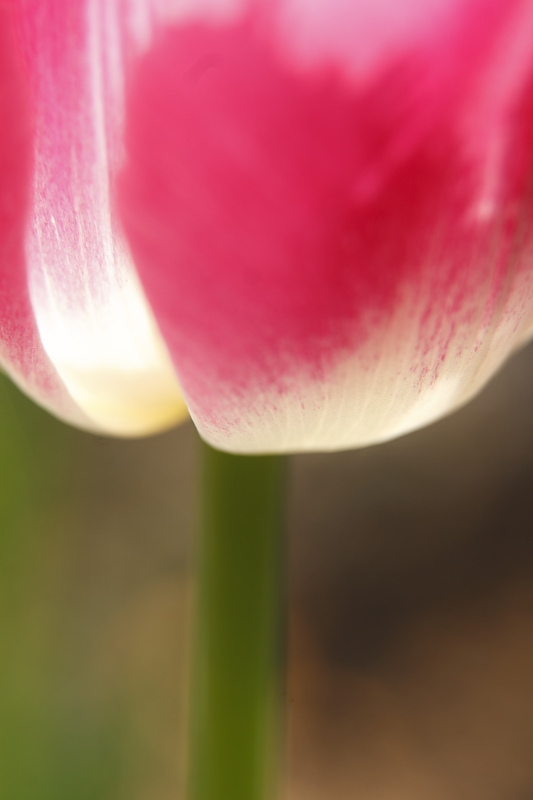 b0083779_2232755.jpg