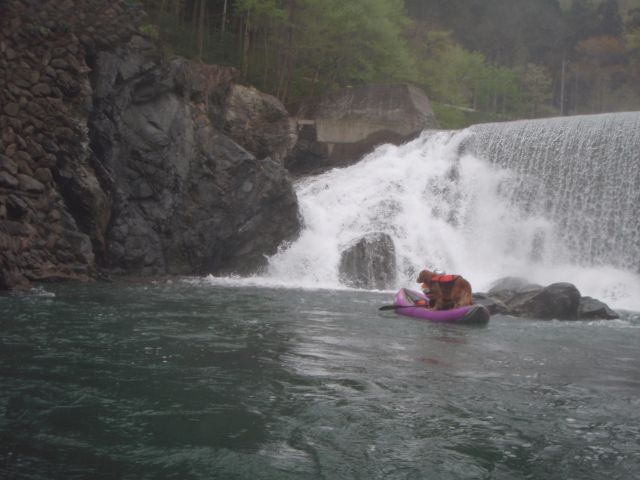 b0139489_2033525.jpg