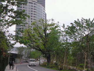 e0017290_9493530.jpg