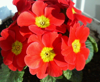 f0018790_10322233.jpg
