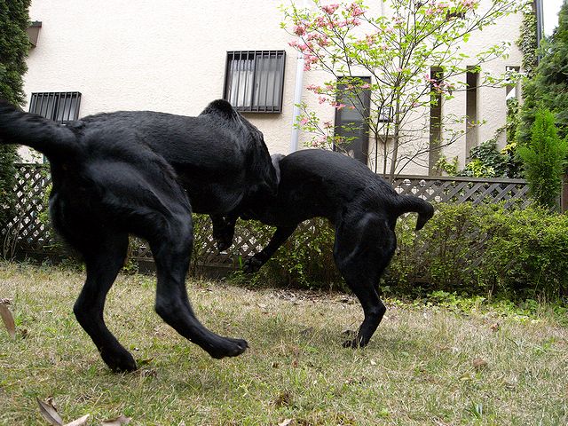 a0093592_05758.jpg