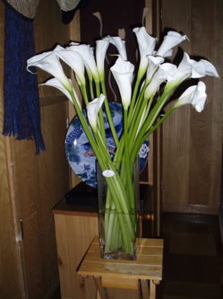 f0130894_20533368.jpg