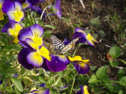 f0130894_2124246.jpg