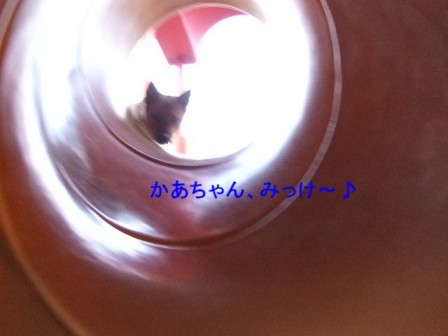 b0087400_23125254.jpg