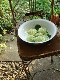 c0129702_22172621.gif