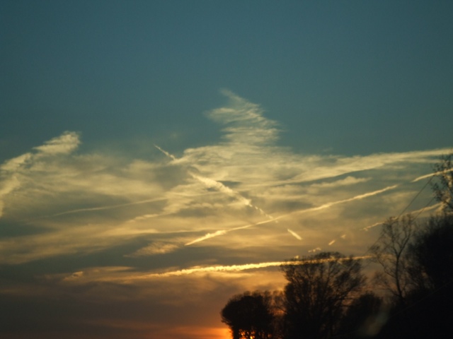 c0062603_485397.jpg
