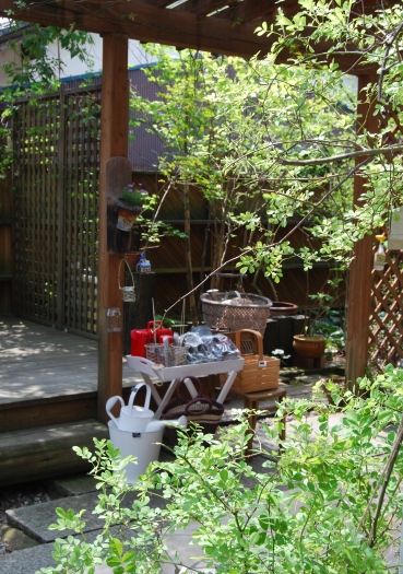 d0089706_2116289.jpg